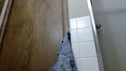 Snapshot of junk_yard_dog chatting on 01/10/25, 12:58 Dave online show from 01/10/25, 12:58