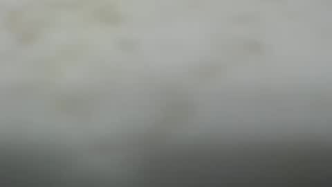 Snapshot of junk_yard_dog chatting on 10/20/25, 01:55 Dave online show from 10/20/25, 01:55