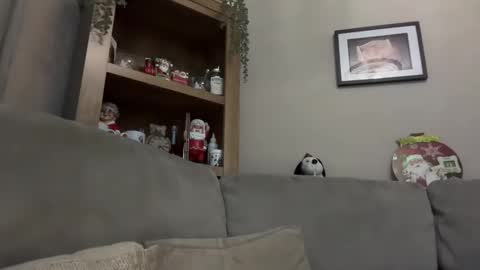 Snapshot of junky345 chatting on 12/13/24, 07:21 Junky online show from 12/13/24, 07:21