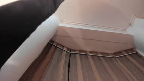 Jupiter Fox online show from 10/15/25, 12:33