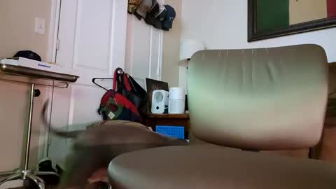 just4fun1523 online show from 01/09/26, 02:14