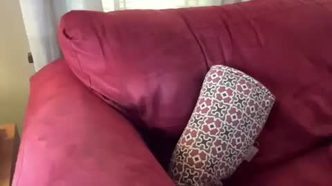 Flirty influncer online show from 03/01/25, 06:11