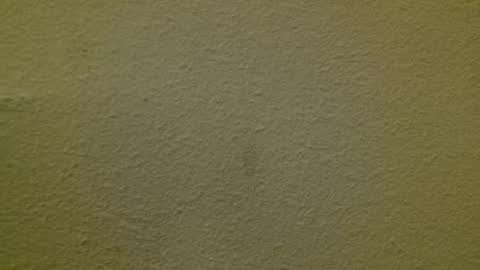 Snapshot of just_marlon chatting on 03/03/25, 02:15 Just marlon online show from 03/03/25, 02:15