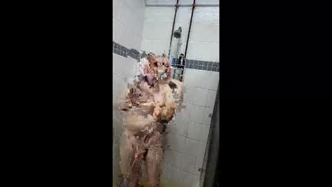 Just a Toy Soldier online show from 04/07/26, 05:13