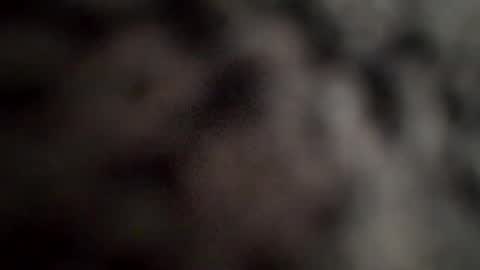 BigDick123 online show from 12/09/24, 06:03