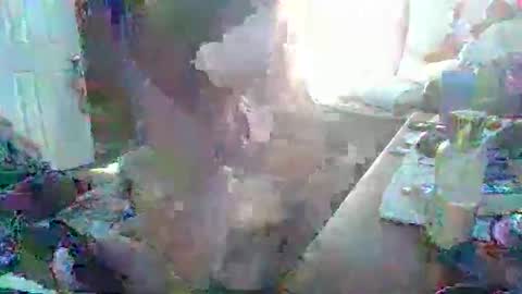 justintyme911128278 online show from 03/19/26, 08:35