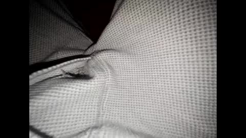 justswack online show from 12/08/24, 06:54