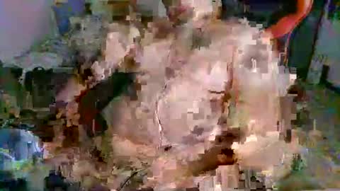 Snapshot of juteja chatting on 09/13/25, 10:20 juteja online show from 09/13/25, 10:20