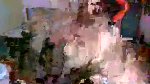 Snapshot of juteja chatting on 10/13/25, 09:15 juteja online show from 10/13/25, 09:15