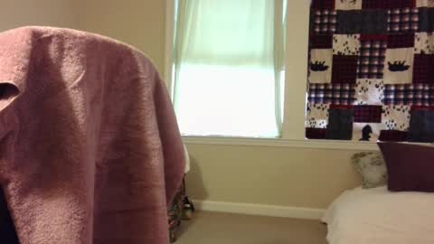 Wolf online show from 03/01/25, 01:29