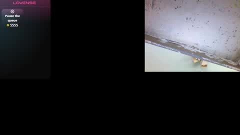 Snapshot of k36620146 chatting on 03/03/26, 09:48 k36620146 online show from 03/03/26, 09:48