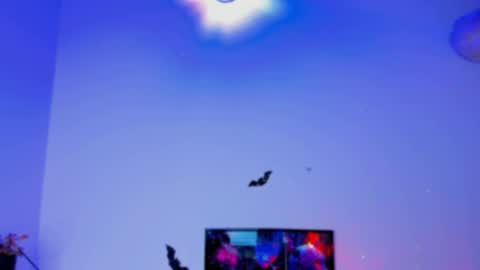 Snapshot of kaaiiri chatting on 01/03/25, 04:06 Kaaiiri online show from 01/03/25, 04:06