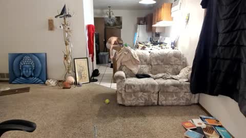 Kaiku77 online show from 11/30/25, 05:44