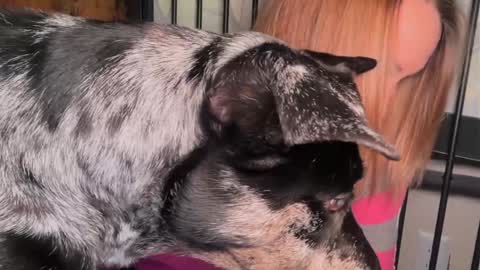 Kailee Smile online show from 03/29/26, 04:45