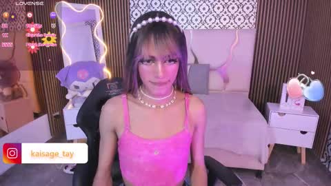 Snapshot of kaisage_tay chatting on 10/23/25, 04:12 kaisage_tay online show from 10/23/25, 04:12