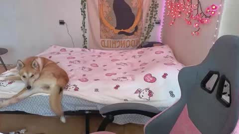 Kessy online show from 03/12/26, 06:41