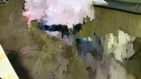 Snapshot of kalem48 chatting on 01/20/25, 10:48 MusicMen49 online show from 01/20/25, 10:48