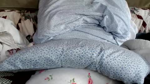 kaonashi69 online show from 01/19/25, 06:21