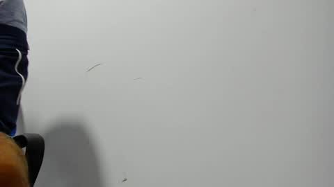 Snapshot of karljensen33 chatting on 01/02/25, 02:33 karlgenjen online show from 01/02/25, 02:33
