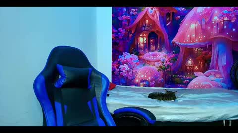    online show from 10/23/25, 10:03