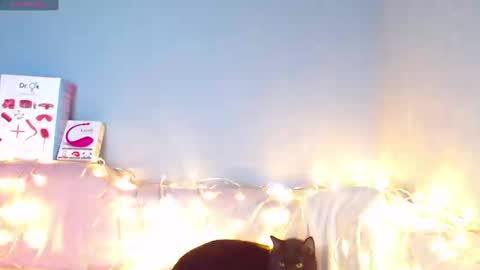 Kira online show from 01/12/25, 06:39