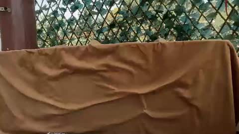 karoline121 online show from 07/20/26, 10:39