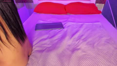 Karol online show from 02/20/26, 11:54