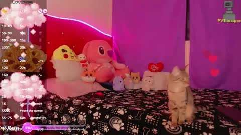 karol online show from 11/18/25, 11:25