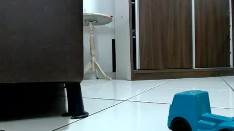 Tamires e Maicon online show from 10/09/25, 08:29