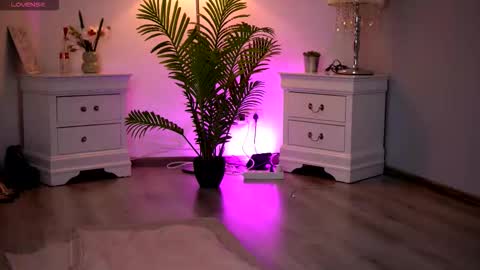 Snapshot of kassidyvibe chatting on 02/11/26, 11:04 Kassidy online show from 02/11/26, 11:04