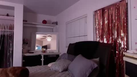 sexykat online show from 10/07/25, 07:38