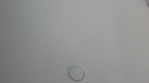 love meeee online show from 01/17/25, 03:32