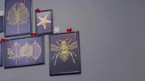 Kate online show from 12/17/24, 12:23