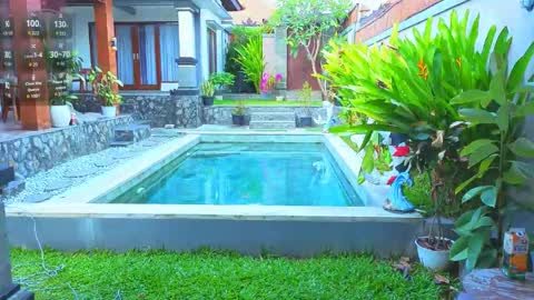 Katie online show from 04/20/26, 01:08