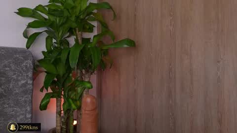 Katie online show from 11/20/25, 11:21