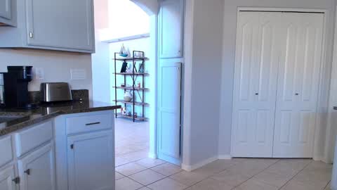 Kat online show from 02/12/26, 06:36