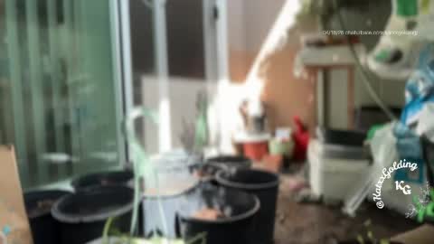 Princesse Kat  online show from 04/18/26, 10:21