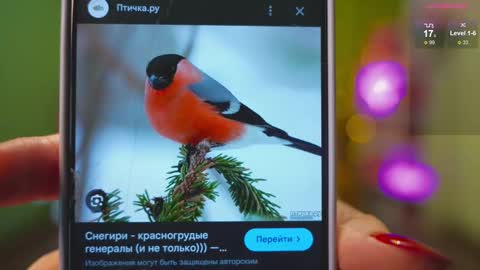 Katy      -    online show from 02/21/25, 02:39