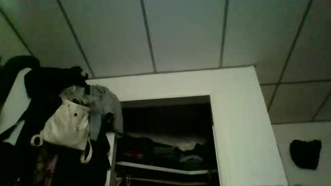 kaylee kakes online show from 03/09/26, 06:56