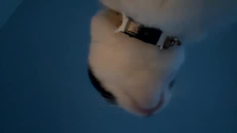 keepquietj online show from 01/20/25, 12:25