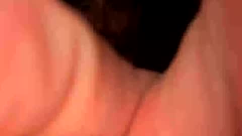 keepquietj online show from 01/20/25, 05:26