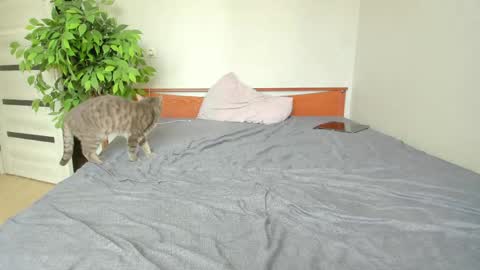 kelly_gerzikaaa online show from 05/02/26, 03:44