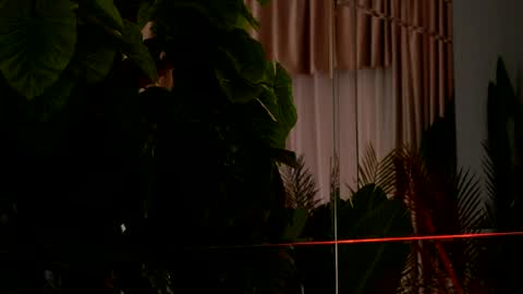 Denise online show from 04/06/26, 02:20