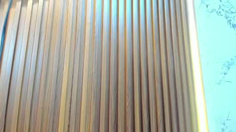    online show from 04/16/26, 12:06