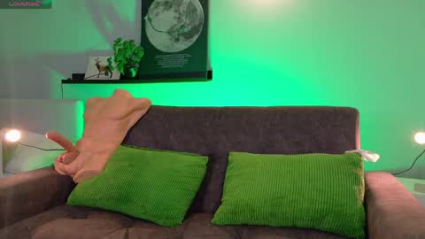   online show from 04/09/26, 08:42