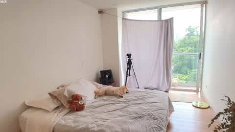 kendall online show from 03/10/26, 04:01