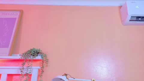   online show from 04/20/26, 09:12