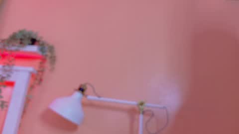   online show from 04/21/26, 09:04