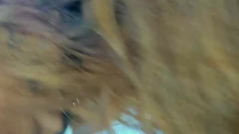 Kendal  online show from 11/27/25, 09:28