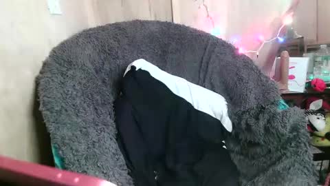 Kennedy Nova  online show from 01/26/25, 10:24